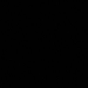 Meet your Posher, Sammy